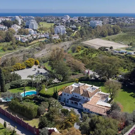 Flores 에스테포나