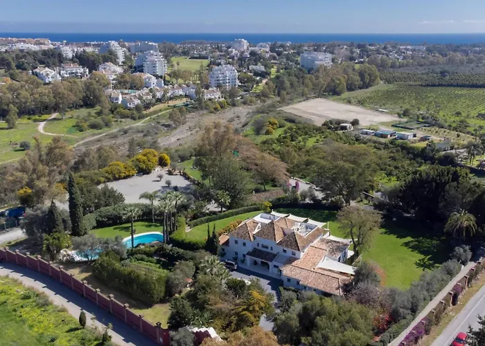 Flores Эстепона